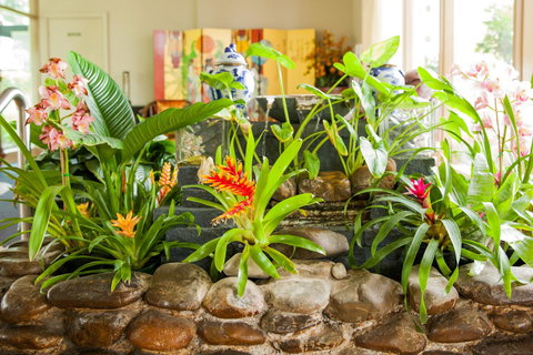 Kempsey Rose Motor Inn - Yamba Accommodation 44