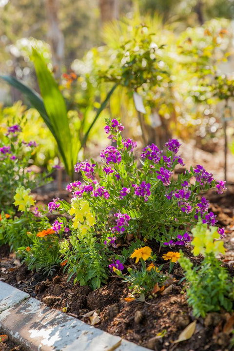 Kempsey Rose Motor Inn - Yamba Accommodation 6