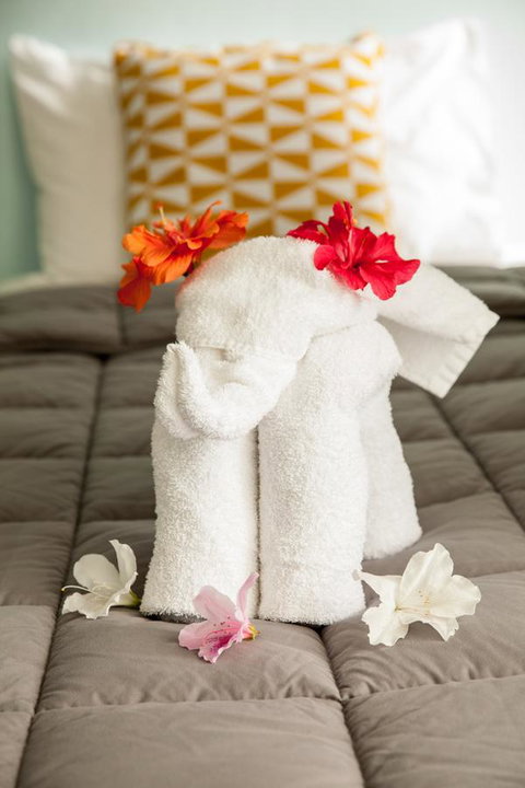 Kempsey Rose Motor Inn - Yamba Accommodation 17