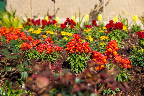 Kempsey Rose Motor Inn - Yamba Accommodation 20