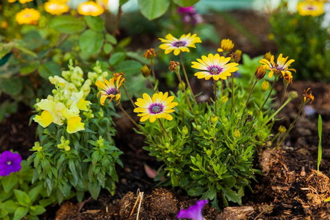 Kempsey Rose Motor Inn - Yamba Accommodation 39