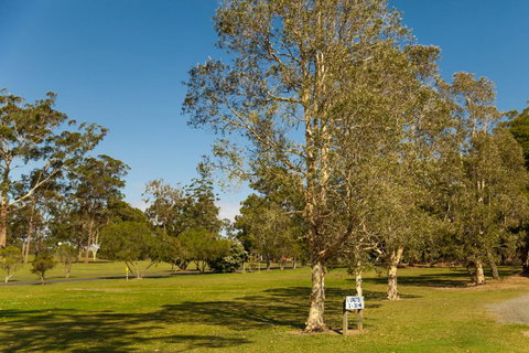 Kempsey Rose Motor Inn - Yamba Accommodation 32