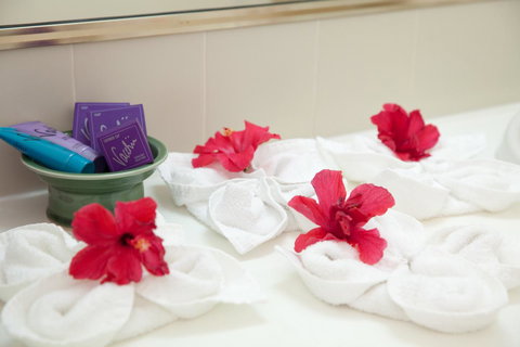 Kempsey Rose Motor Inn - Yamba Accommodation 14