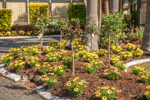 Kempsey Rose Motor Inn - Yamba Accommodation 23