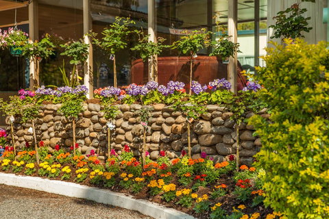 Kempsey Rose Motor Inn - Yamba Accommodation 34