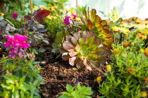 Kempsey Rose Motor Inn - Yamba Accommodation 35