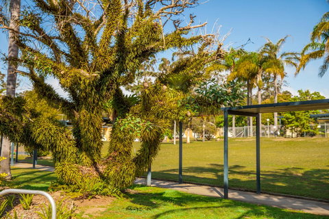 Kempsey Rose Motor Inn - Yamba Accommodation 41