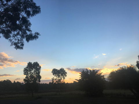 Junee Motor Inn - Yamba Accommodation 26