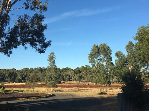 Junee Motor Inn - Yamba Accommodation 24