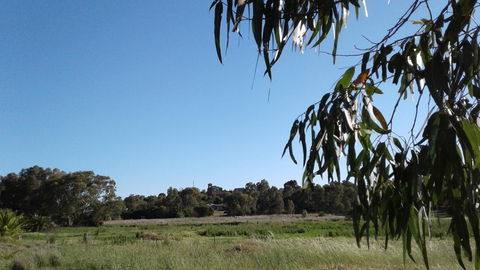 Junee Motor Inn - Yamba Accommodation 8