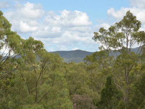 Villa Executive 2br Cypress DS Located Within Cypress Lakes Resort - Yamba Accommodation 8