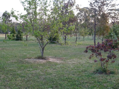Romanz In The Valley (Luxury B&B) - Yamba Accommodation 32