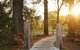 Romanz In The Valley (Luxury B&B) - thumb 26
