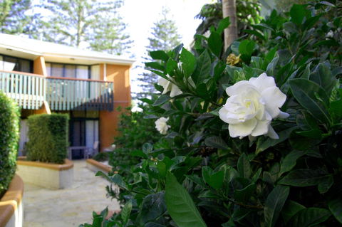 The Crest Byron Bay - Yamba Accommodation 29