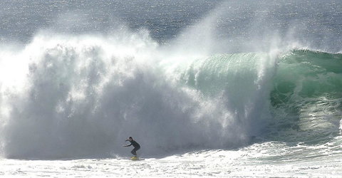 Refuge Cove On Pittwater - Yamba Accommodation 16