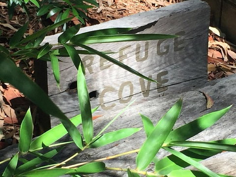 Refuge Cove On Pittwater - Yamba Accommodation 12