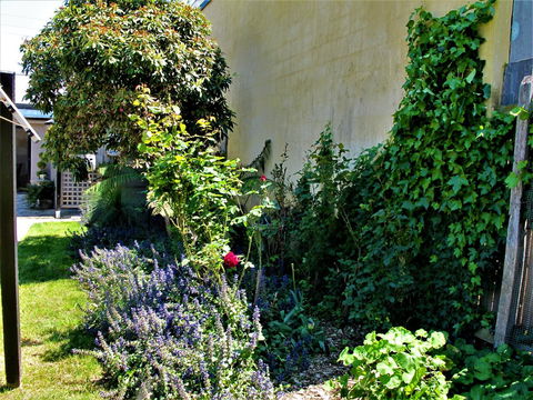 Apple Tree Cottage - Yamba Accommodation 24
