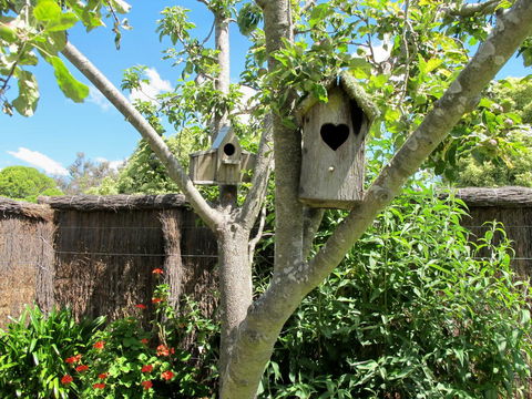 Apple Tree Cottage - Yamba Accommodation 28
