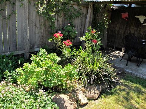 Apple Tree Cottage - Yamba Accommodation 26