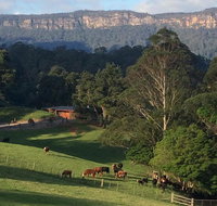 Amaroo Valley Springs - Yamba Accommodation