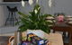 Yigala House - thumb 10