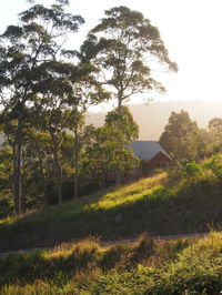 Book Bawley Point Accommodation Vacations Yamba Accommodation Yamba Accommodation