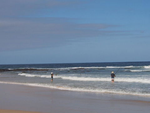Bundle Hill Cottages - Yamba Accommodation 10