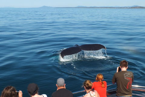 Pacific Marina Apartments - Yamba Accommodation 34