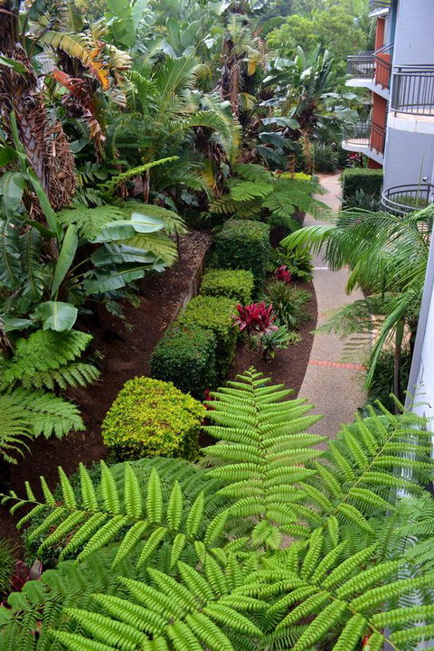 Flynns Beach Resort - Yamba Accommodation 17