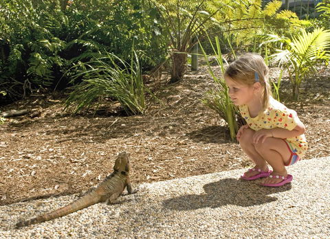 Flynns Beach Resort - Yamba Accommodation 16