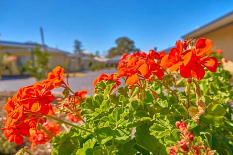 Hunter Oasis - Yamba Accommodation 42