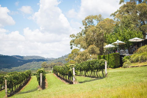 Borrodell Vineyard - Yamba Accommodation 12