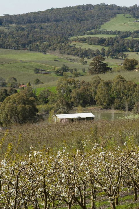 Borrodell Vineyard - Yamba Accommodation 30