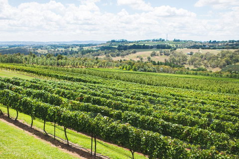 Borrodell Vineyard - Yamba Accommodation 29