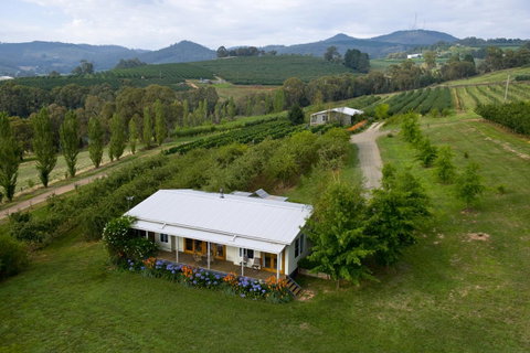 Borrodell Vineyard - Yamba Accommodation 2