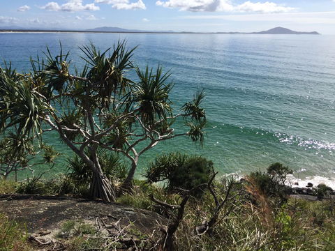 Hat Head Beach Cottage 1 - Yamba Accommodation 23