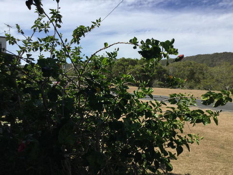 Hat Head Beach Cottage 1 - Yamba Accommodation 2