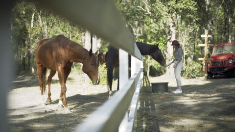 The Woods Farm Jervis Bay - Yamba Accommodation 13