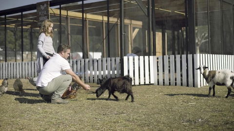 The Woods Farm Jervis Bay - Yamba Accommodation 14