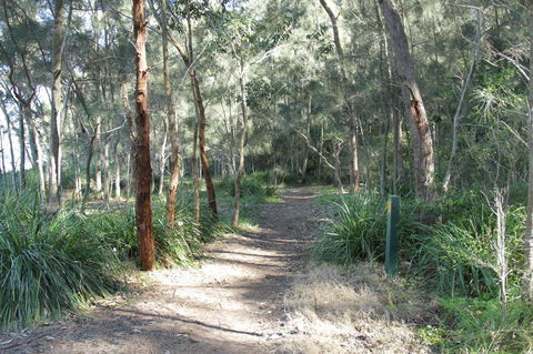 The Edgewater On Greville - Yamba Accommodation 35