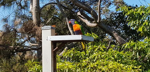 The Edgewater On Greville - Yamba Accommodation 15