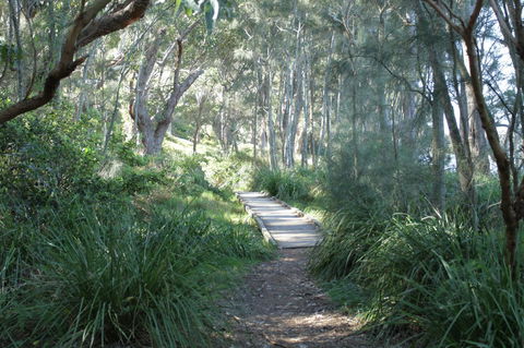 The Edgewater On Greville - Yamba Accommodation 33