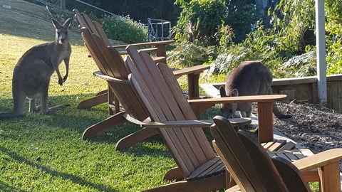 The Edgewater On Greville - Yamba Accommodation 18
