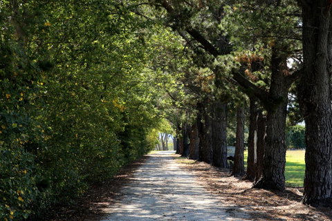 Terara Riverside Retreat - Yamba Accommodation 26