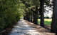 Terara Riverside Retreat - thumb 30