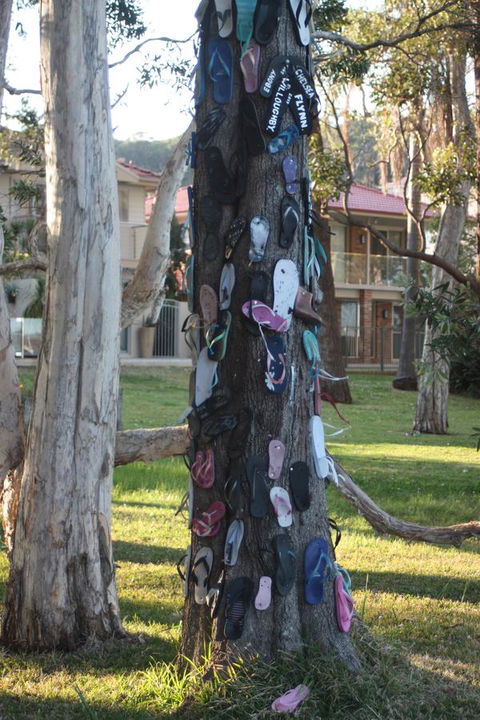Ambience - Yamba Accommodation 33