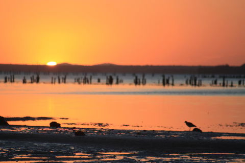 Ambience - Yamba Accommodation 35