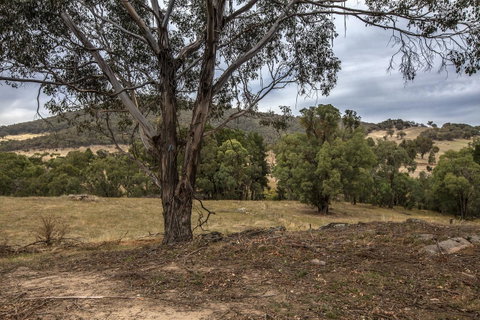 Pound Creek Gallery - Yamba Accommodation 29