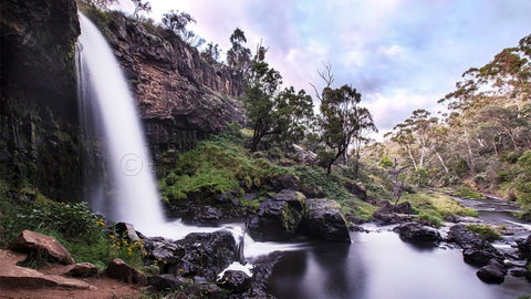 Pound Creek Gallery - Yamba Accommodation 14