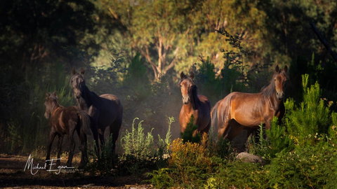 Pound Creek Gallery - Yamba Accommodation 18